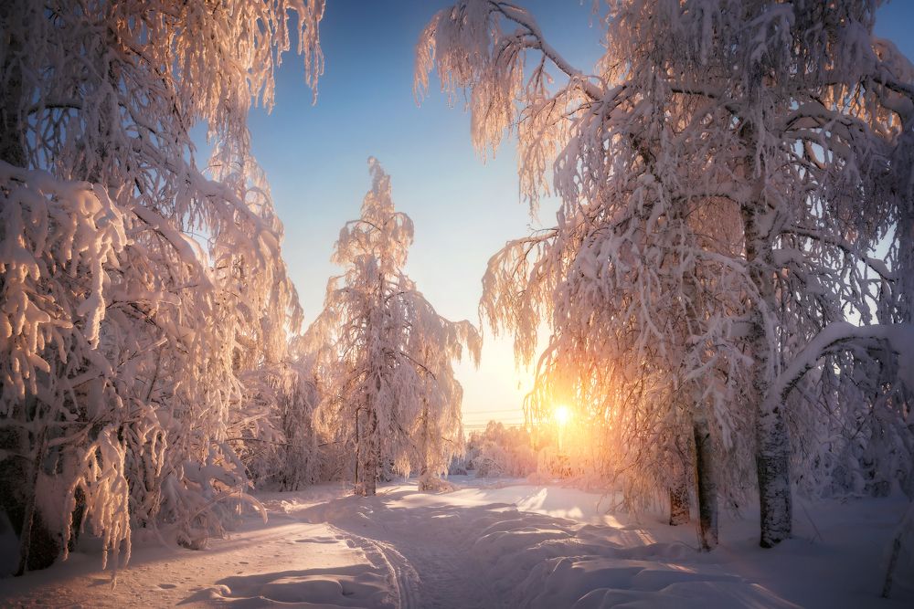 Photograph by Соколова Елена