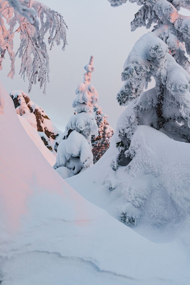 Снежное царство