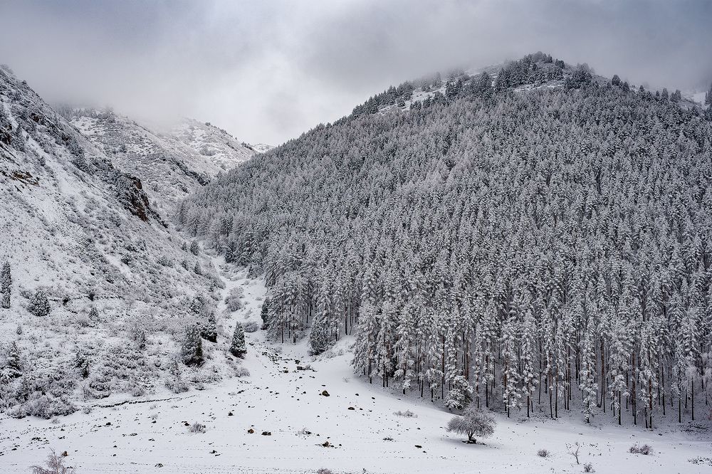 Photograph by Наталья Балеевских