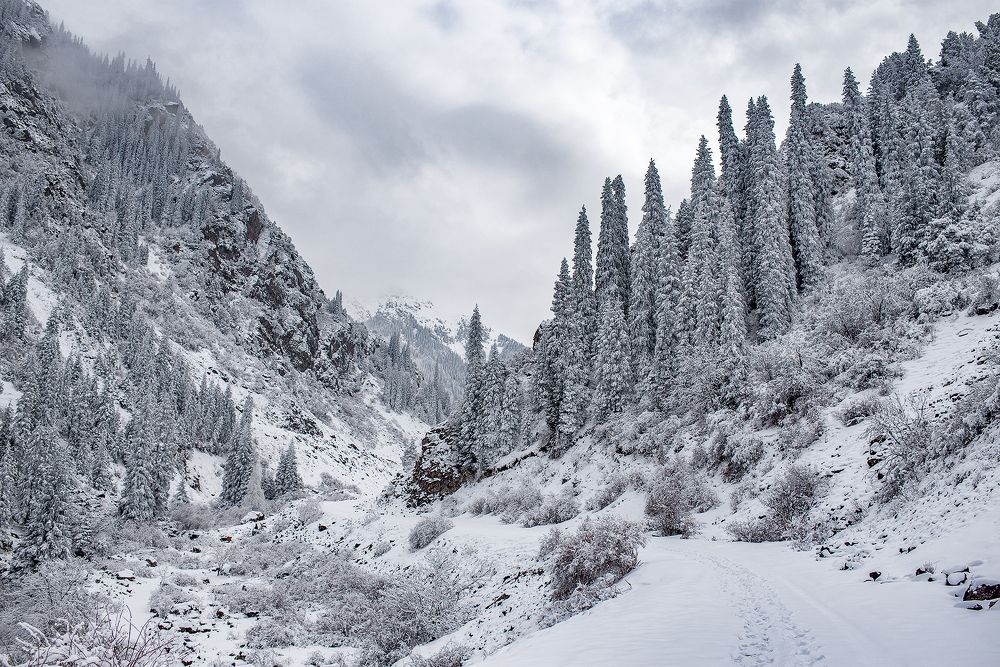 Photograph by Наталья Балеевских