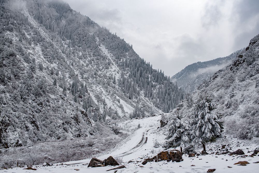 Photograph by Наталья Балеевских