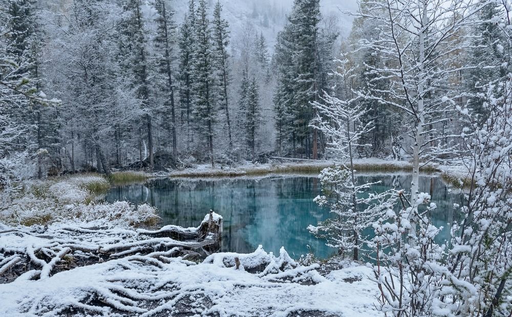 Photograph by Фомина Марина