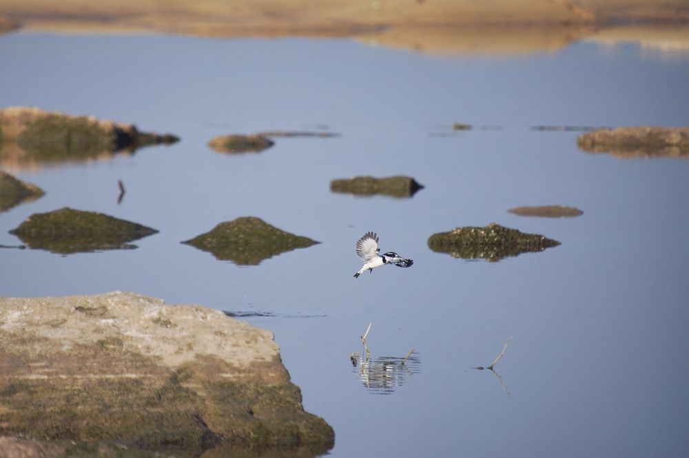 Photograph by Gotcha Biniashvili
