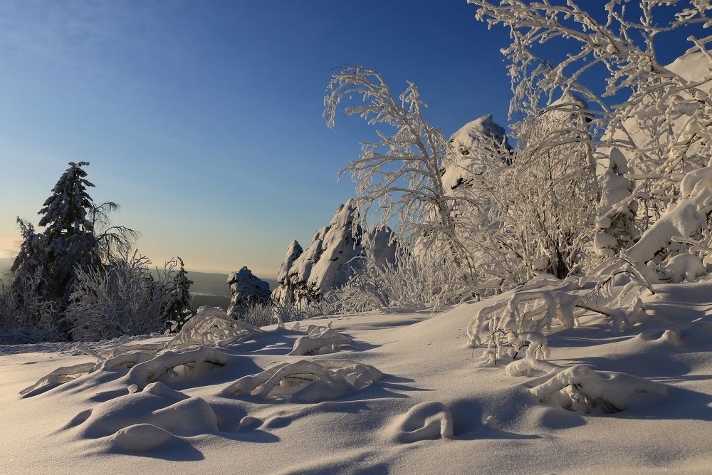 Фотография автора Марков Сергей