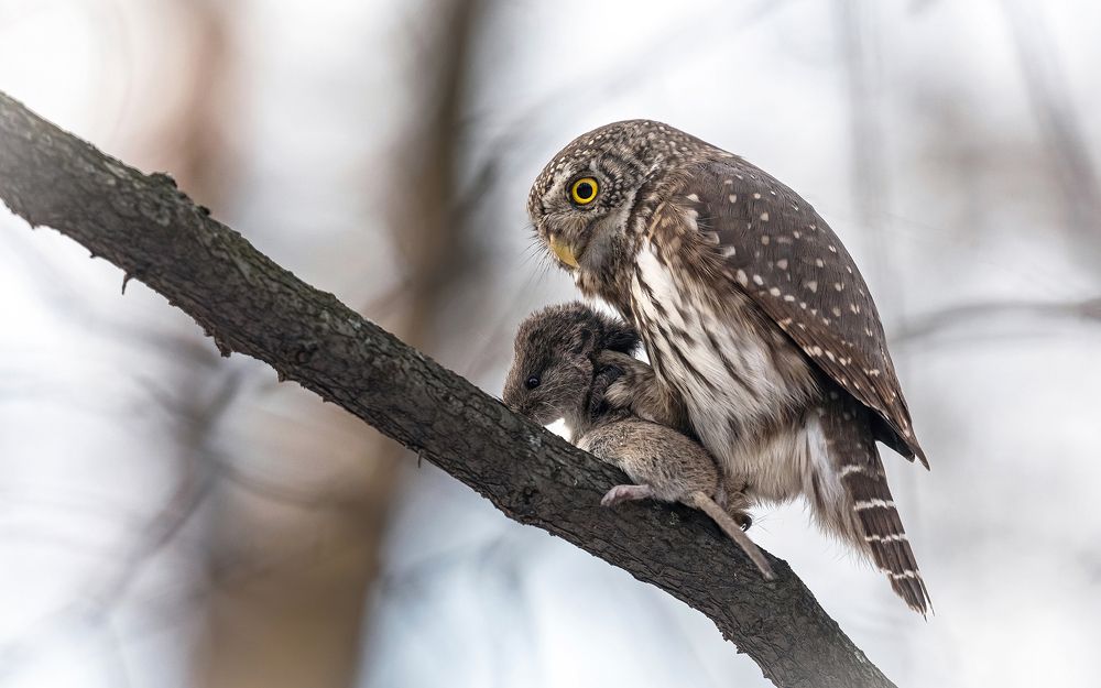 Мне сверху видно всё, ты так и знай....