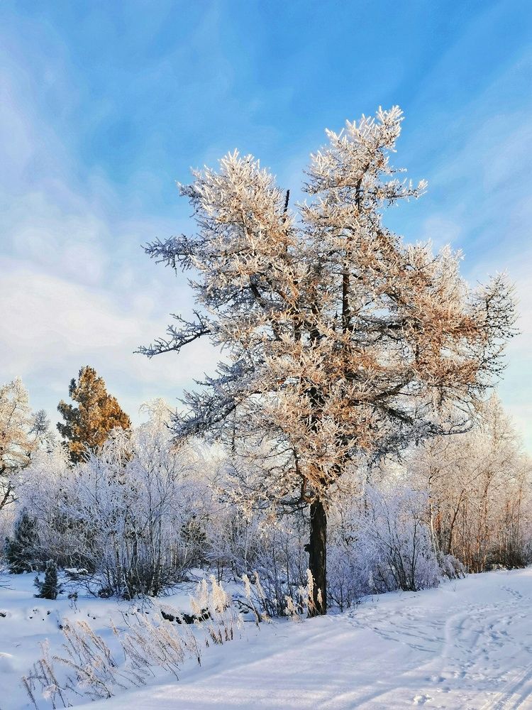 Photograph by Юлия Арестова