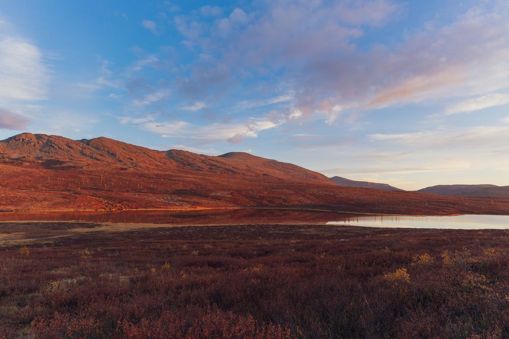 Photograph by Татьяна Предеина