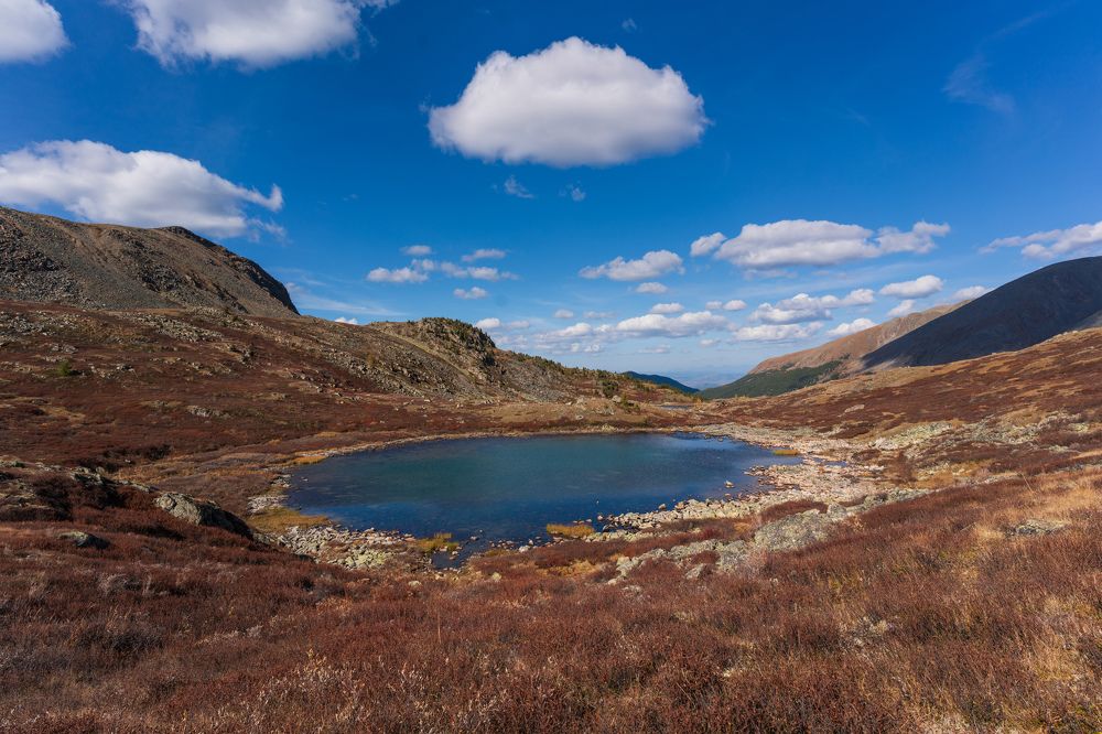 Photograph by Татьяна Предеина