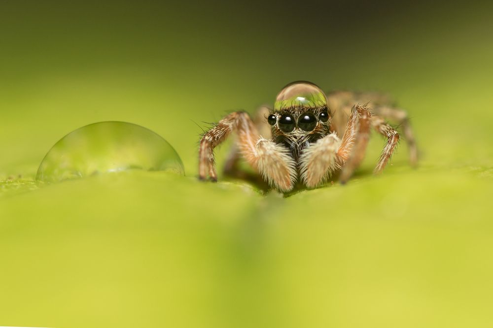 Photograph by Gonzalez Paul Andres