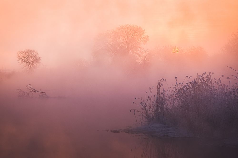 Photograph by Илья Толстоноженко