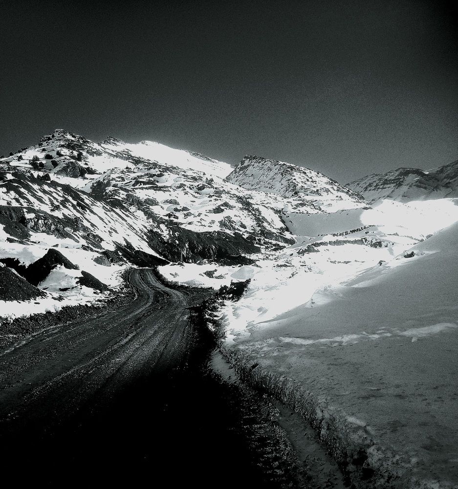 Photograph by Nushin Saboohi