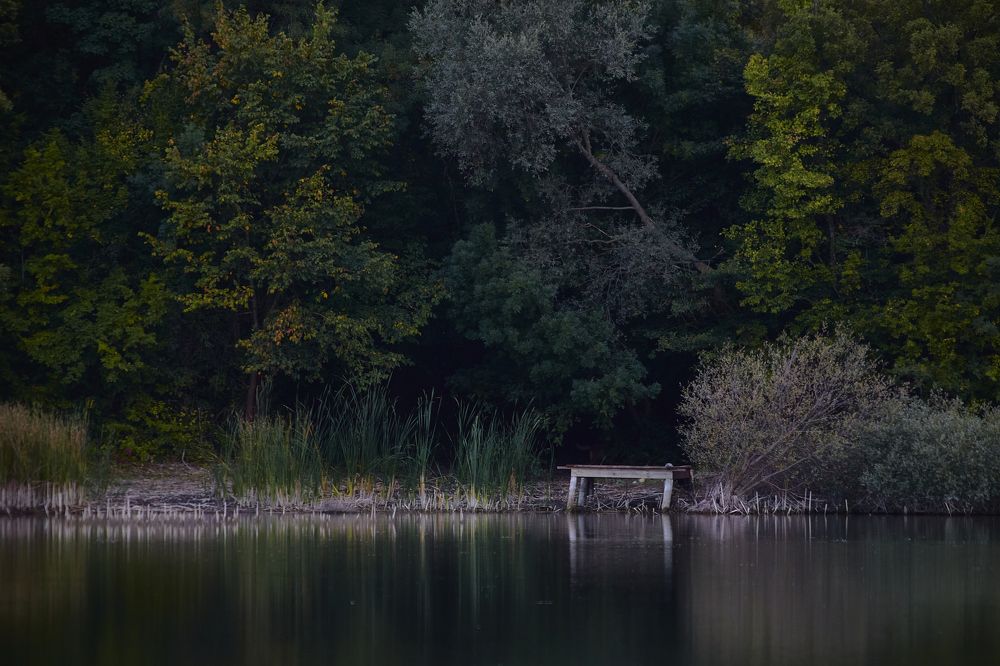 Фотография автора CIX Empire