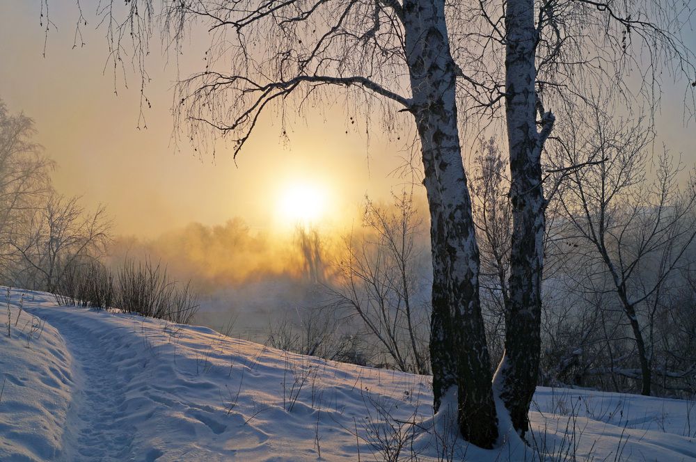 Photograph by Мишустина Татьяна