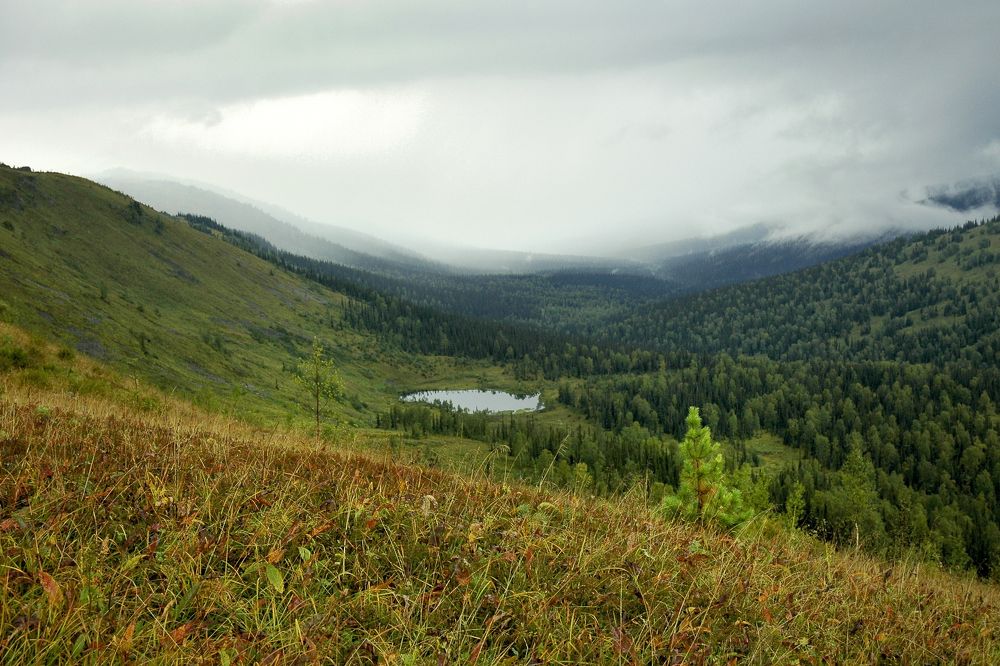 Photograph by Юрий Тимофеев