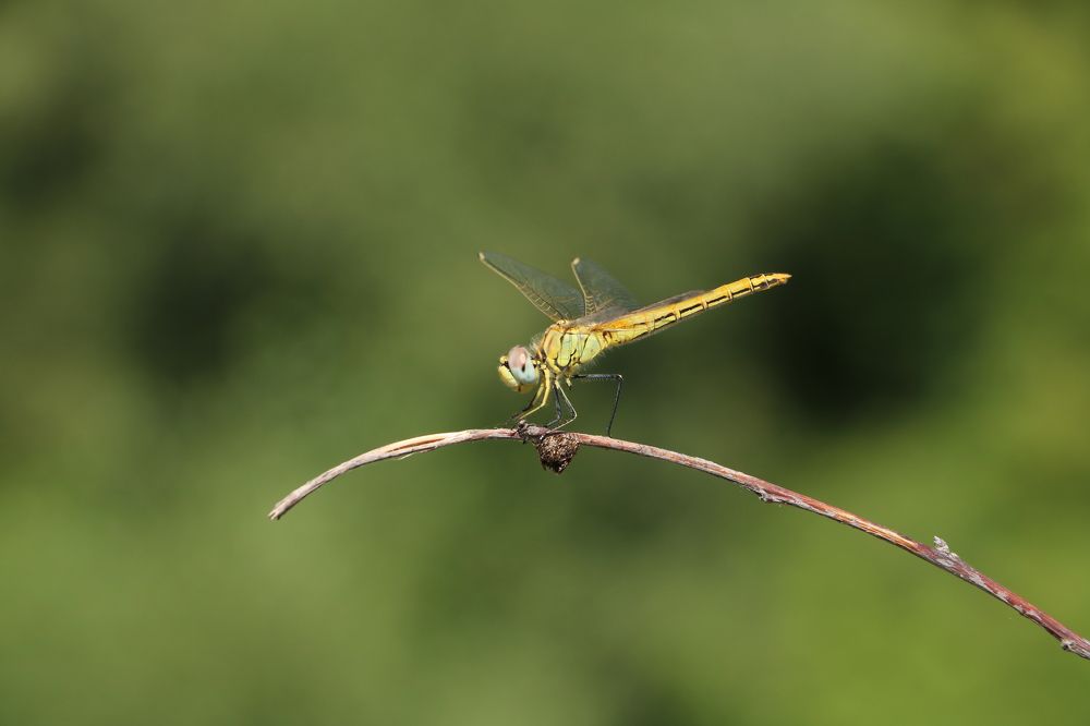Photograph by Cengiz Yalcin