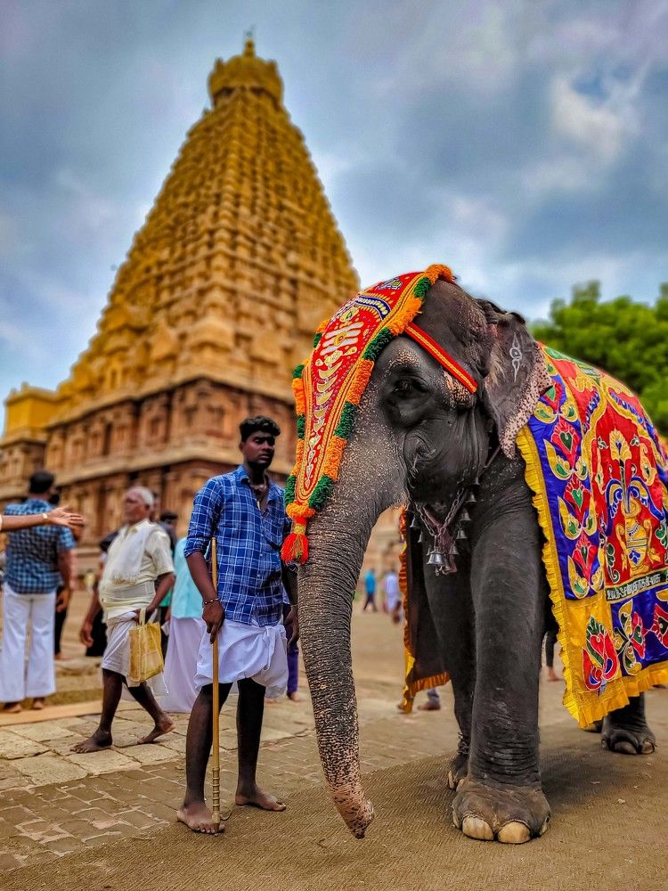 Photograph by Vinoth