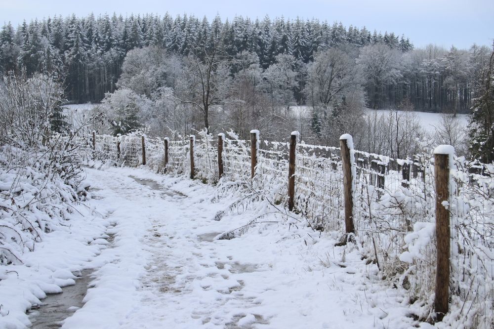 Фотография автора caroline martin (dony)