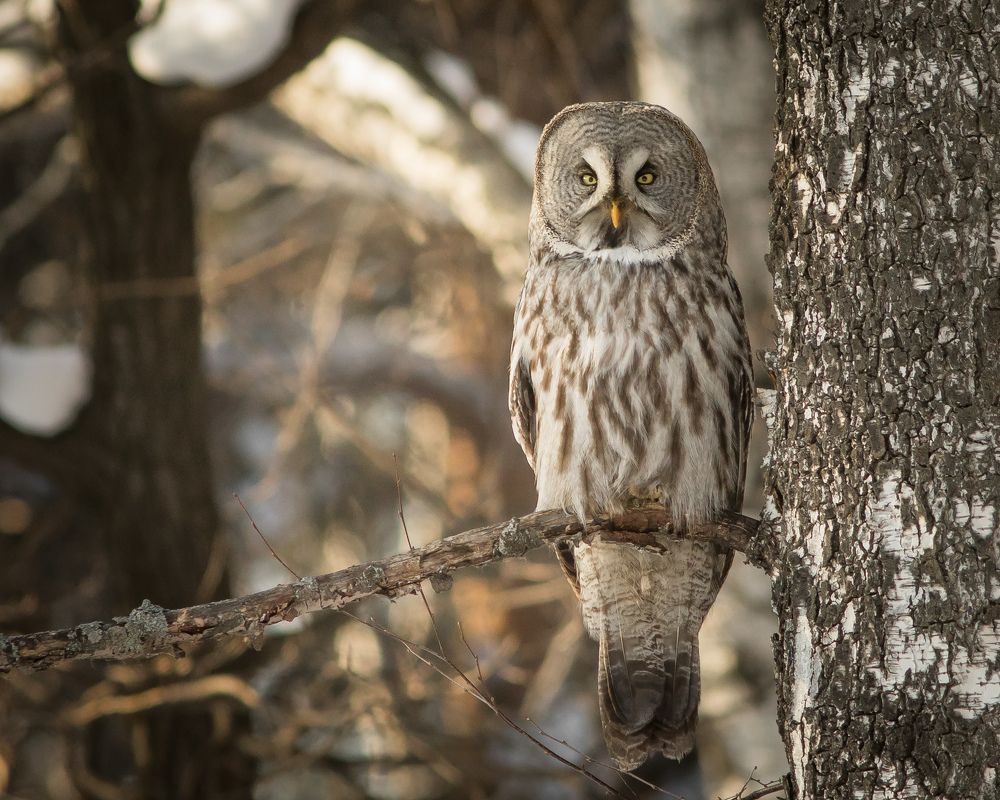 Фотография автора Суслов Дмитрий