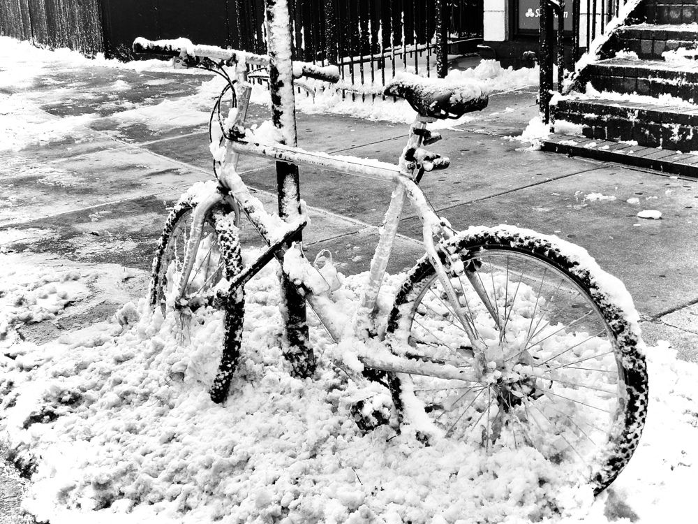 Photograph by Silvia Marcos