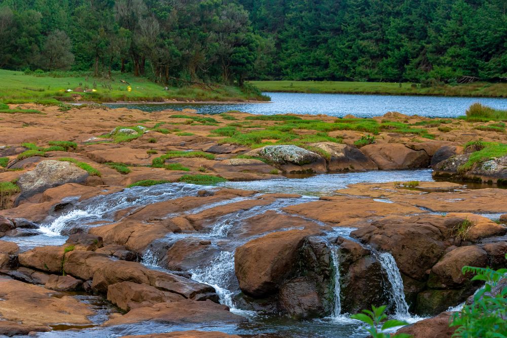 Photograph by Vinoth