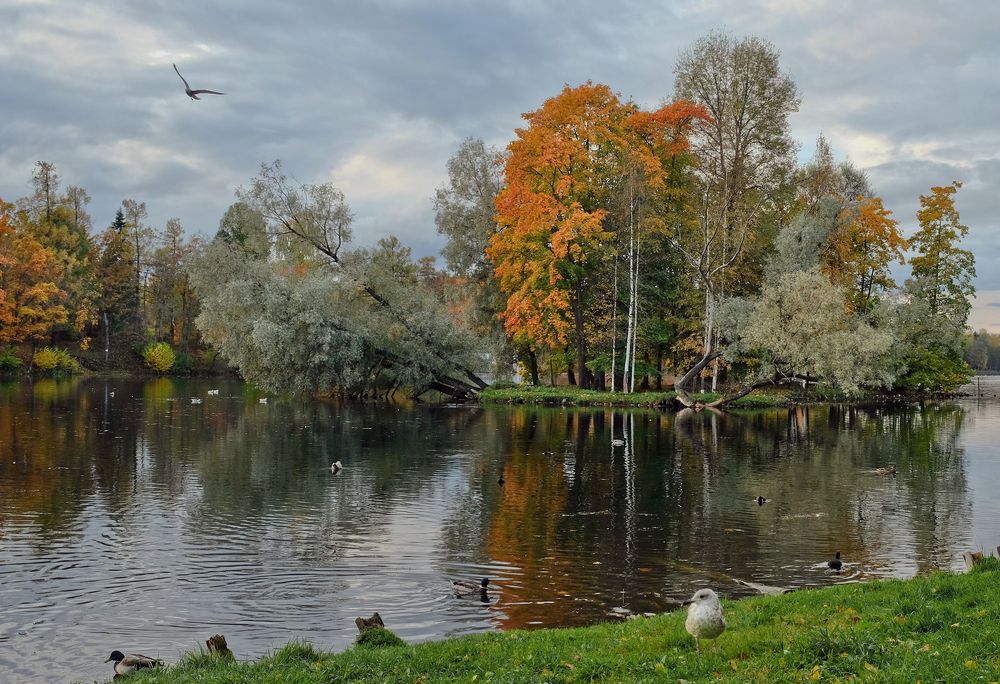Фотография автора Ольга Виноградова