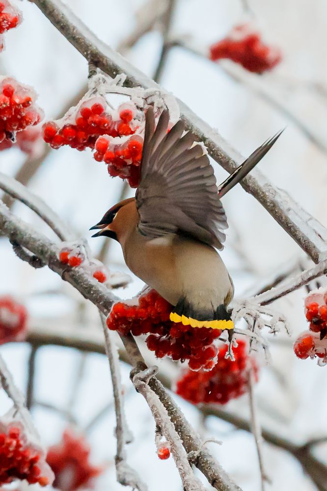 Photograph by Ирина Иванова
