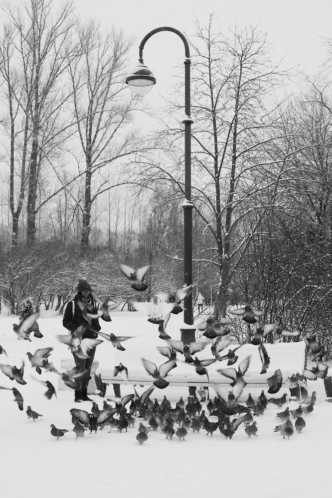 Photograph by Яна Шевцова