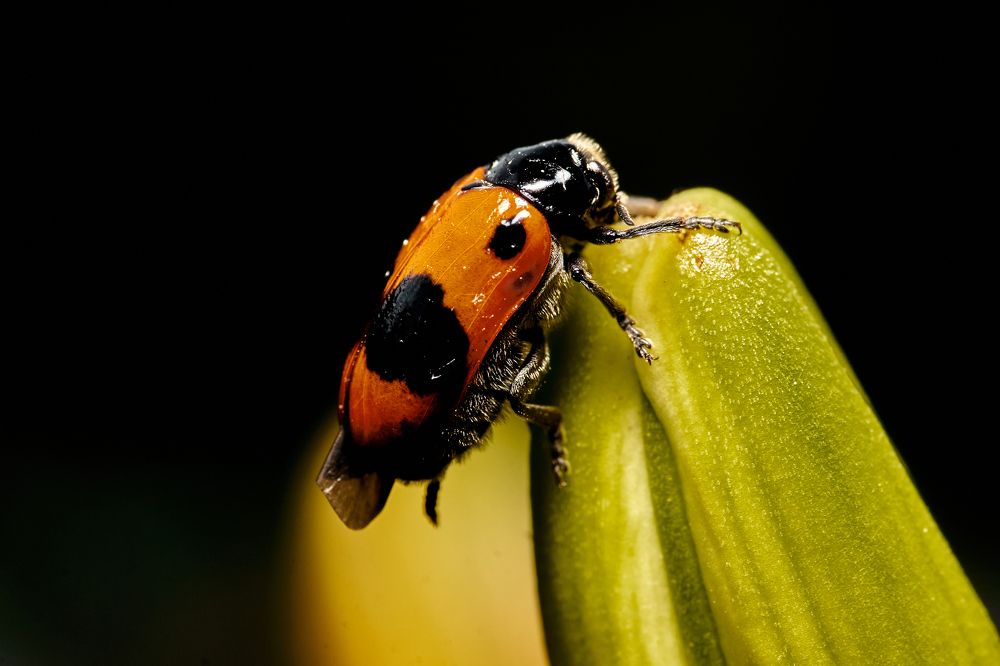 Фотография автора Игорь Игоревич