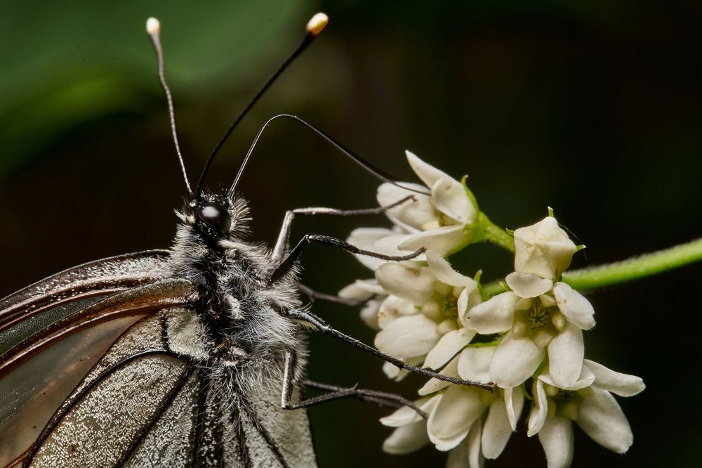 Фотография автора Игорь Игоревич