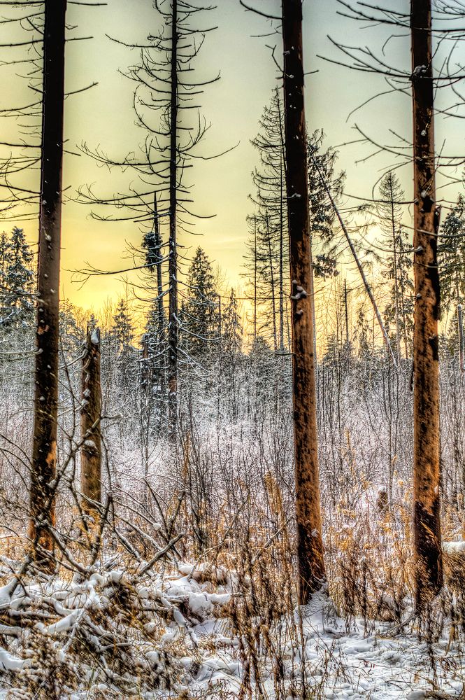 Photograph by Денис Четверик