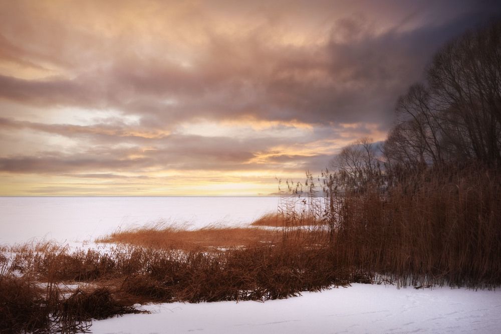 Photograph by Victor Stepanov