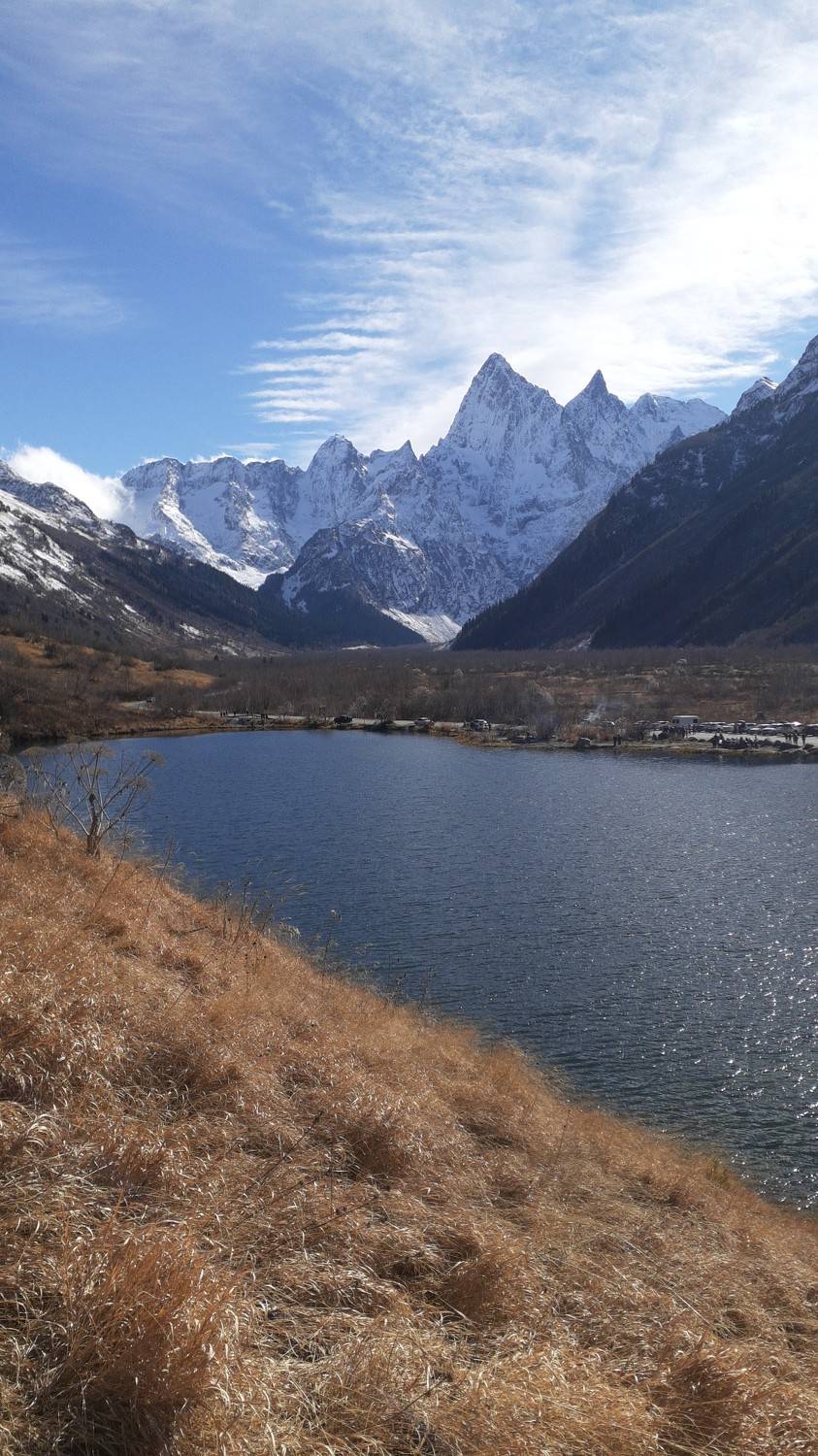 Photo #8634325