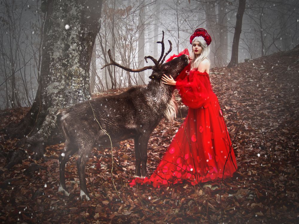 Photograph by Studio AlVi