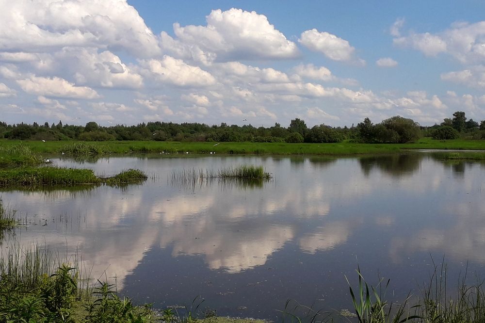 Photograph by Ольга Березовская