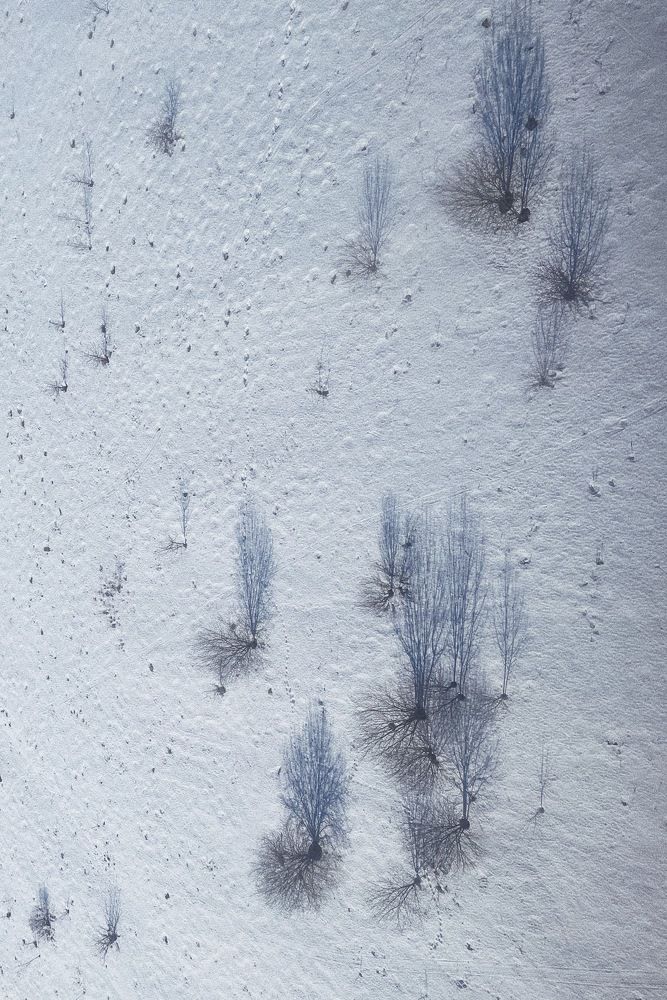 Photograph by Надежда Косырева