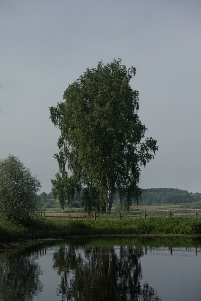 Михайловское, 2022