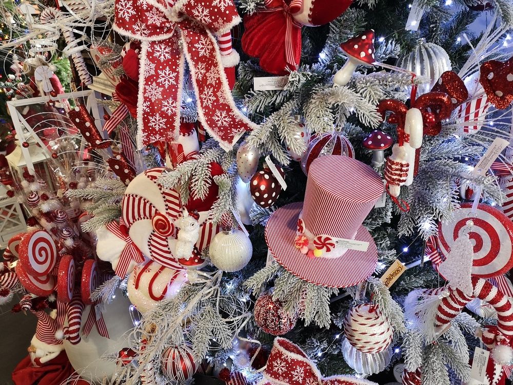 Photograph by Marina Razheva