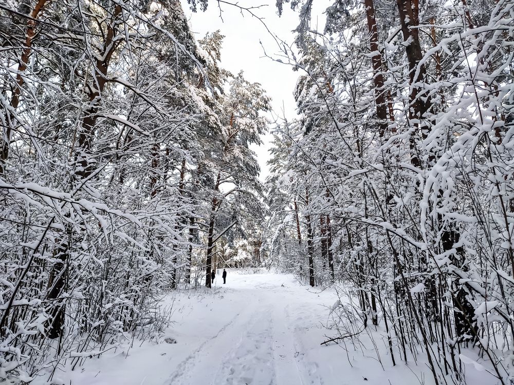 Photograph by Ivars Andrups