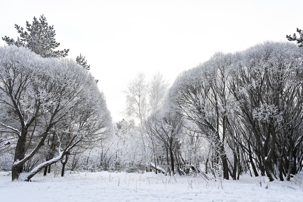 Photograph by Светлана Вербицкая