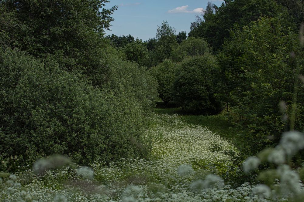 Изборск, 2022