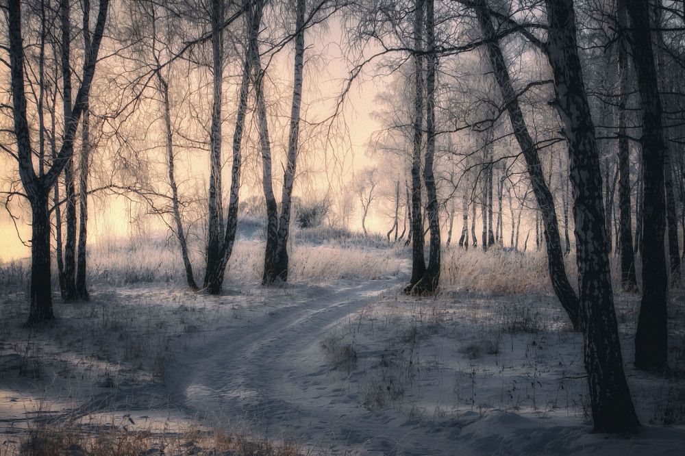 Photograph by Юлия Лушникова