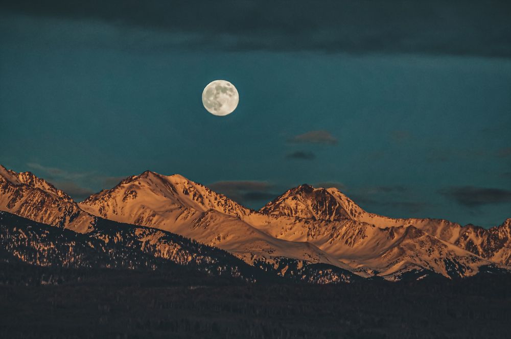 Photograph by Анастасия Сахаревич