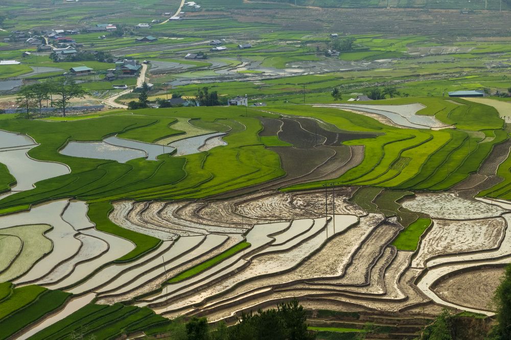 Фотография автора Quan Hung