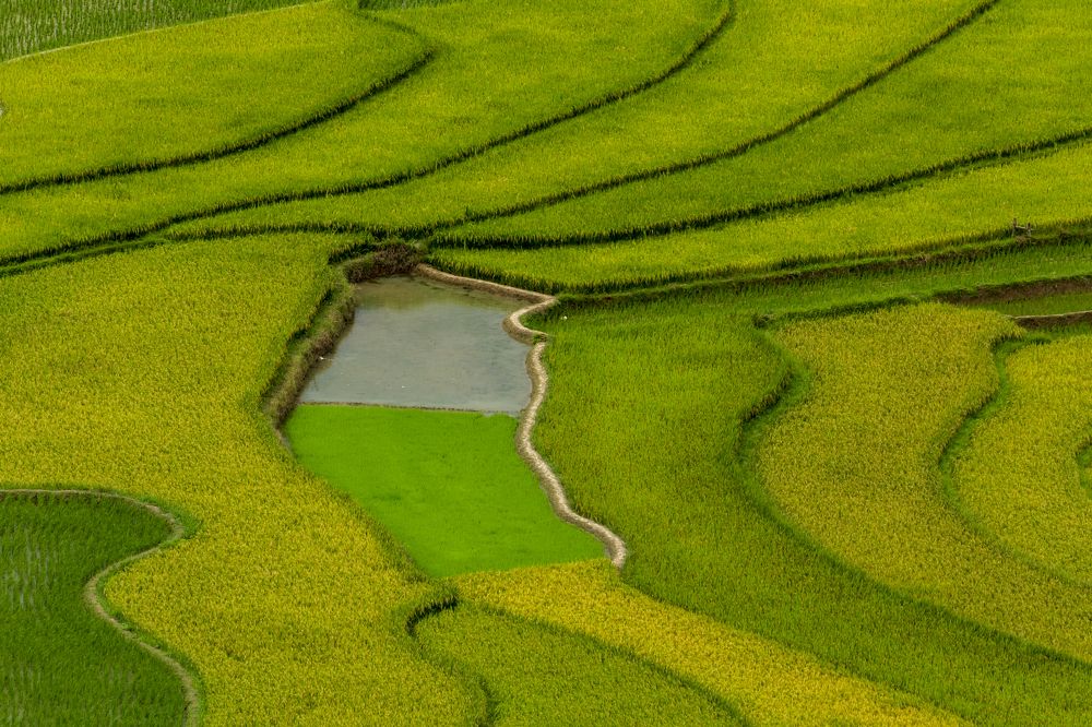 Фотография автора Quan Hung