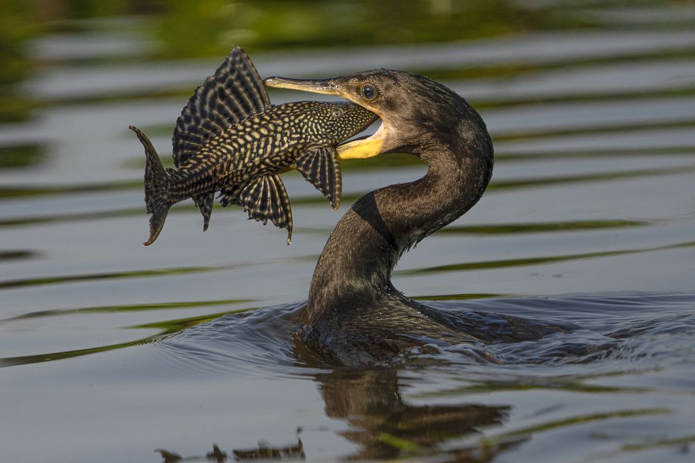 Photograph by Alberto Camardiel