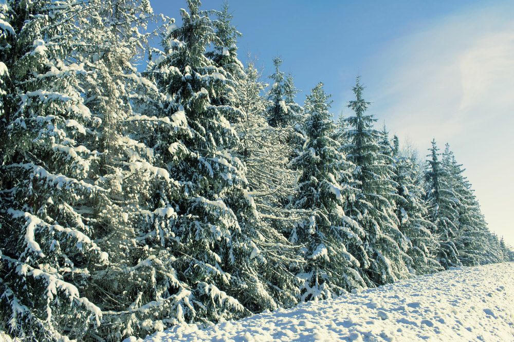 Photograph by Альфия Агзамова