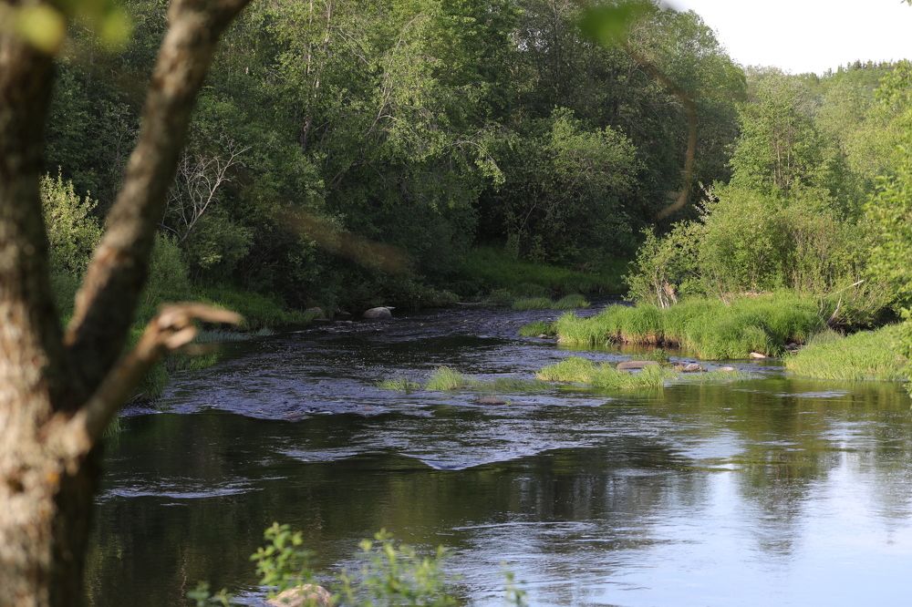 Нетронутая природа