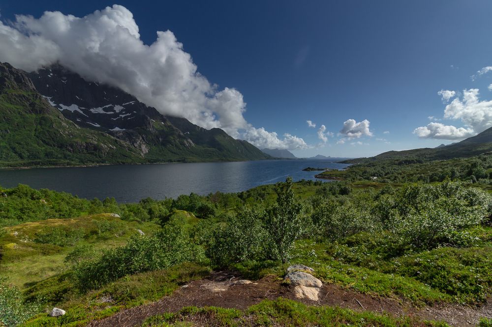 Фотография автора Alexander Pakhomov