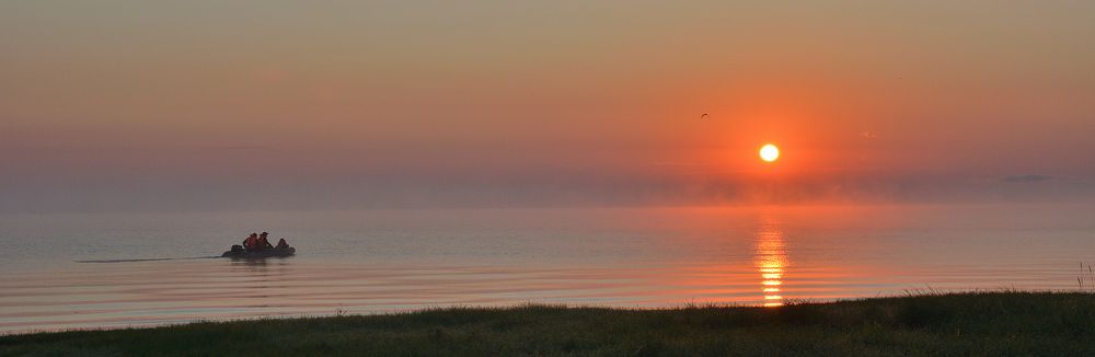 Photograph by Александр Калегин