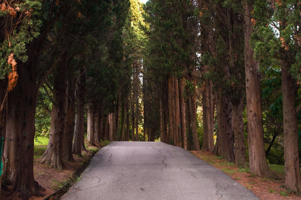 Photograph by Альфия Агзамова